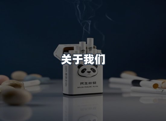 关于我们